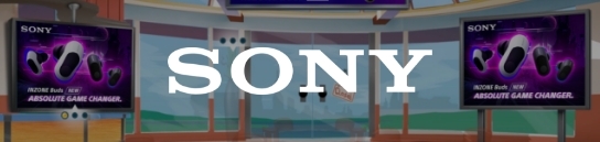 Case Study Sony
